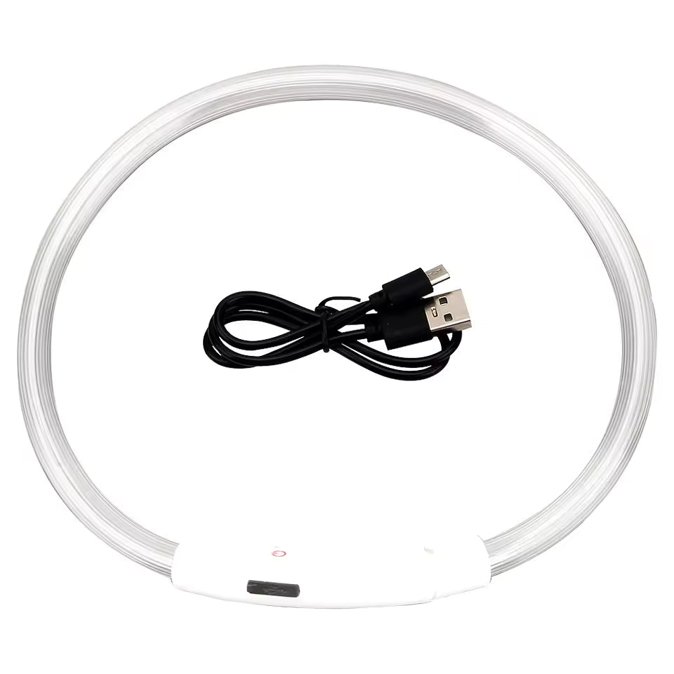 LED collar in multicolour