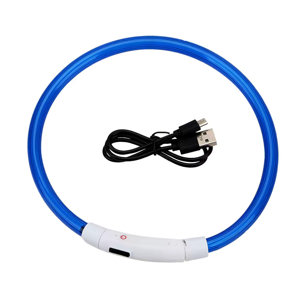 LED collar in blue