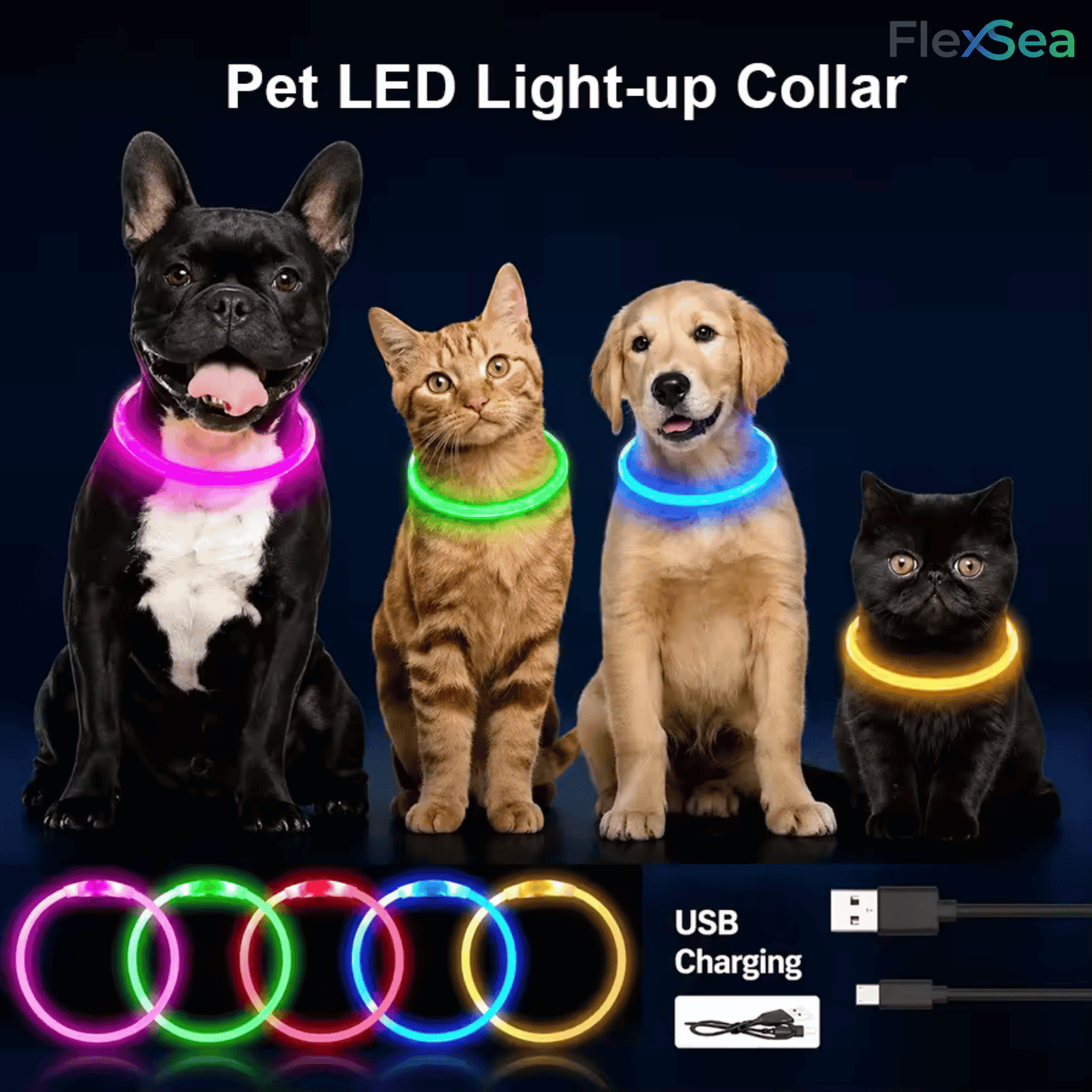 LED dog collar