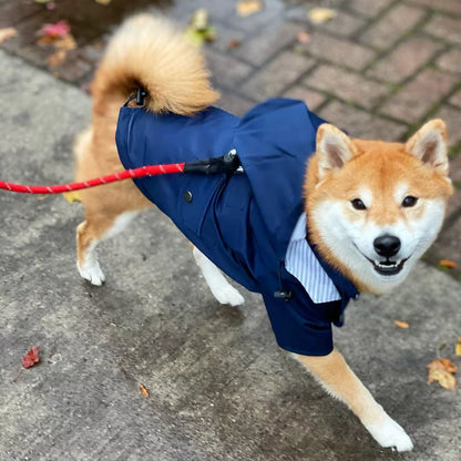Rain coat hood
