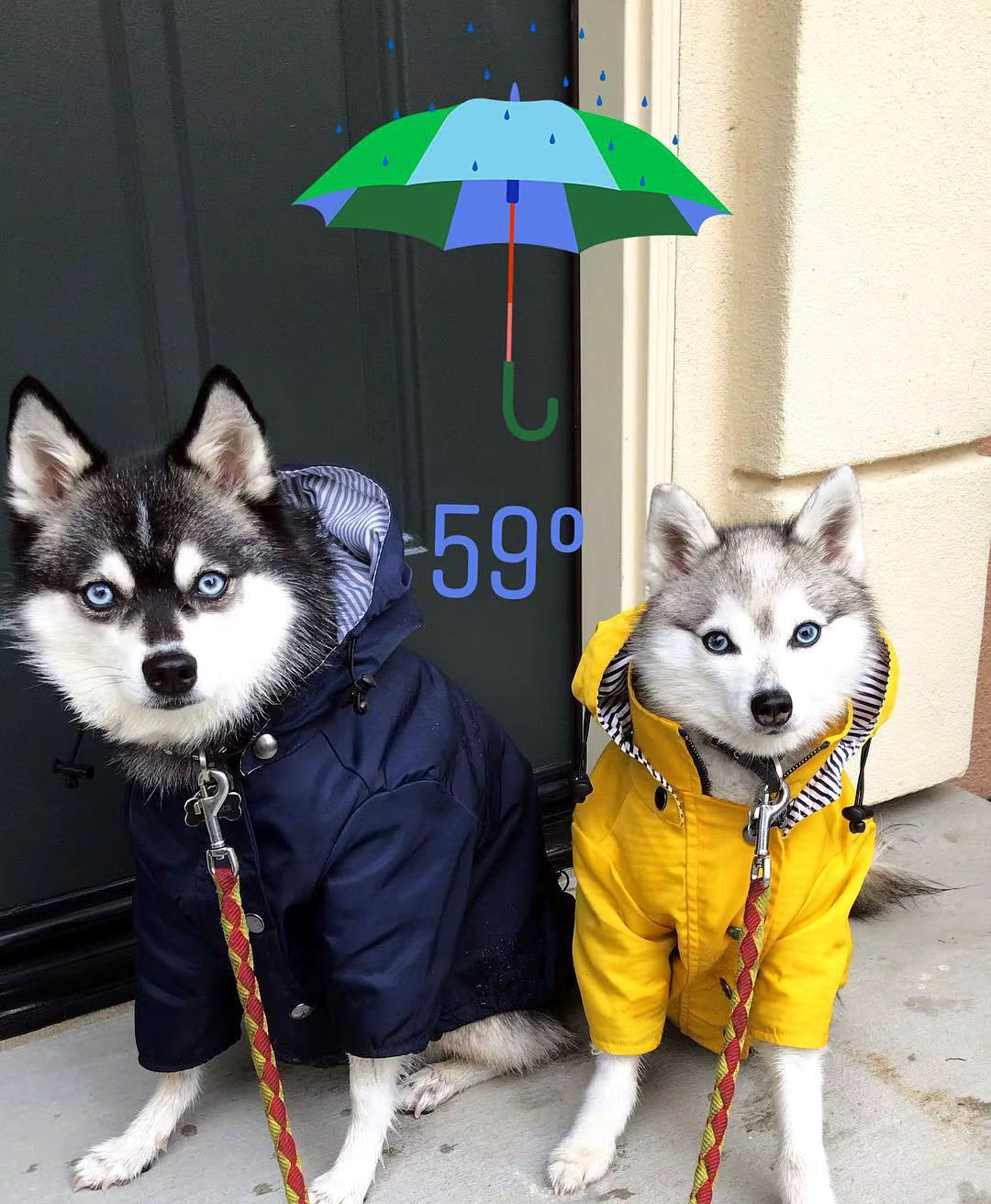 Rain coat on a walk