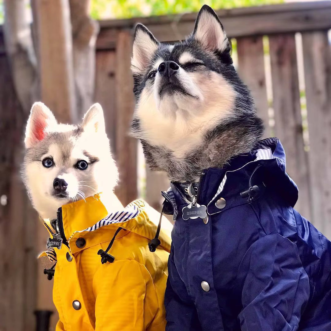Rain coat close up
