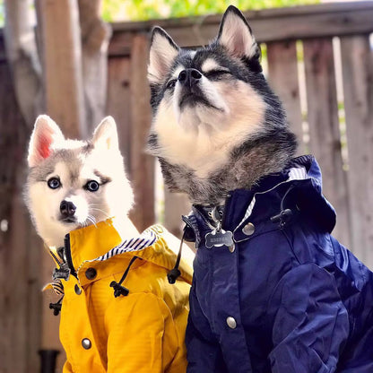 Rain coat close up