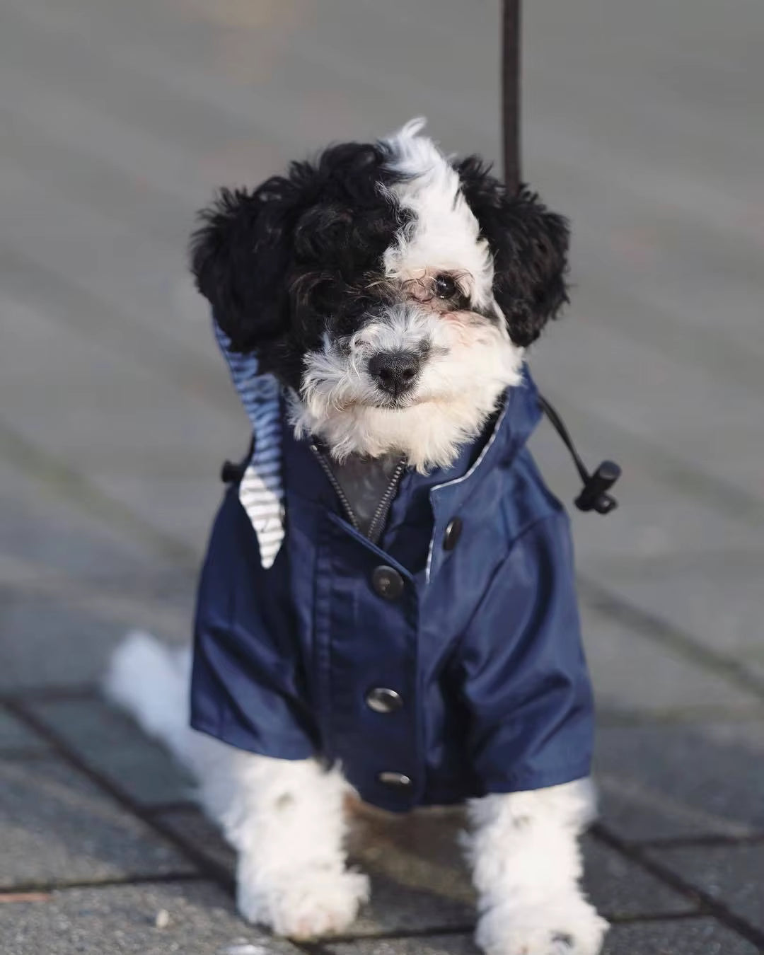 Rain coat in use