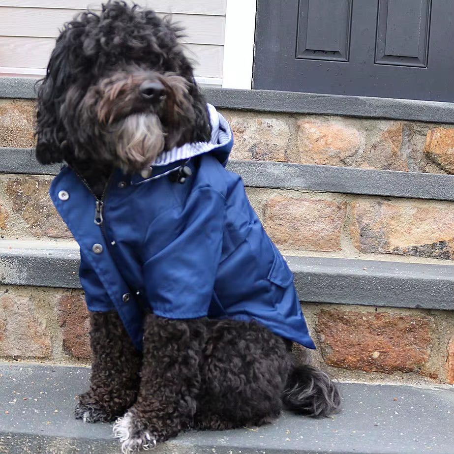 Rain coat back view