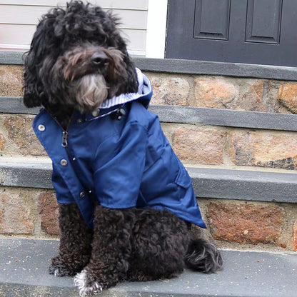 Rain coat back view