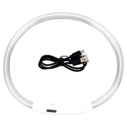 LED collar in multicolour