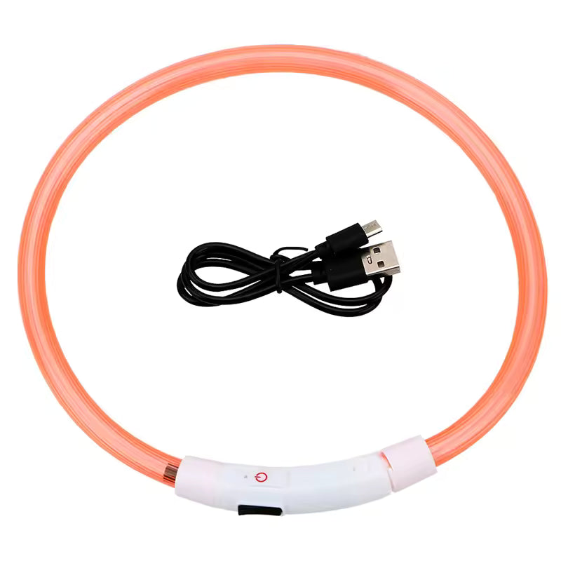 LED collar in orange