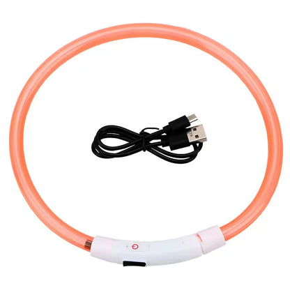 LED collar in orange
