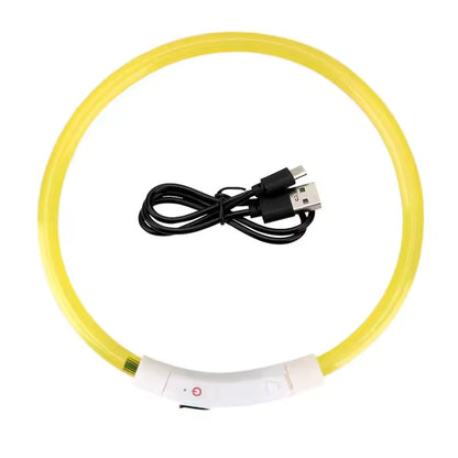LED collar in yellow